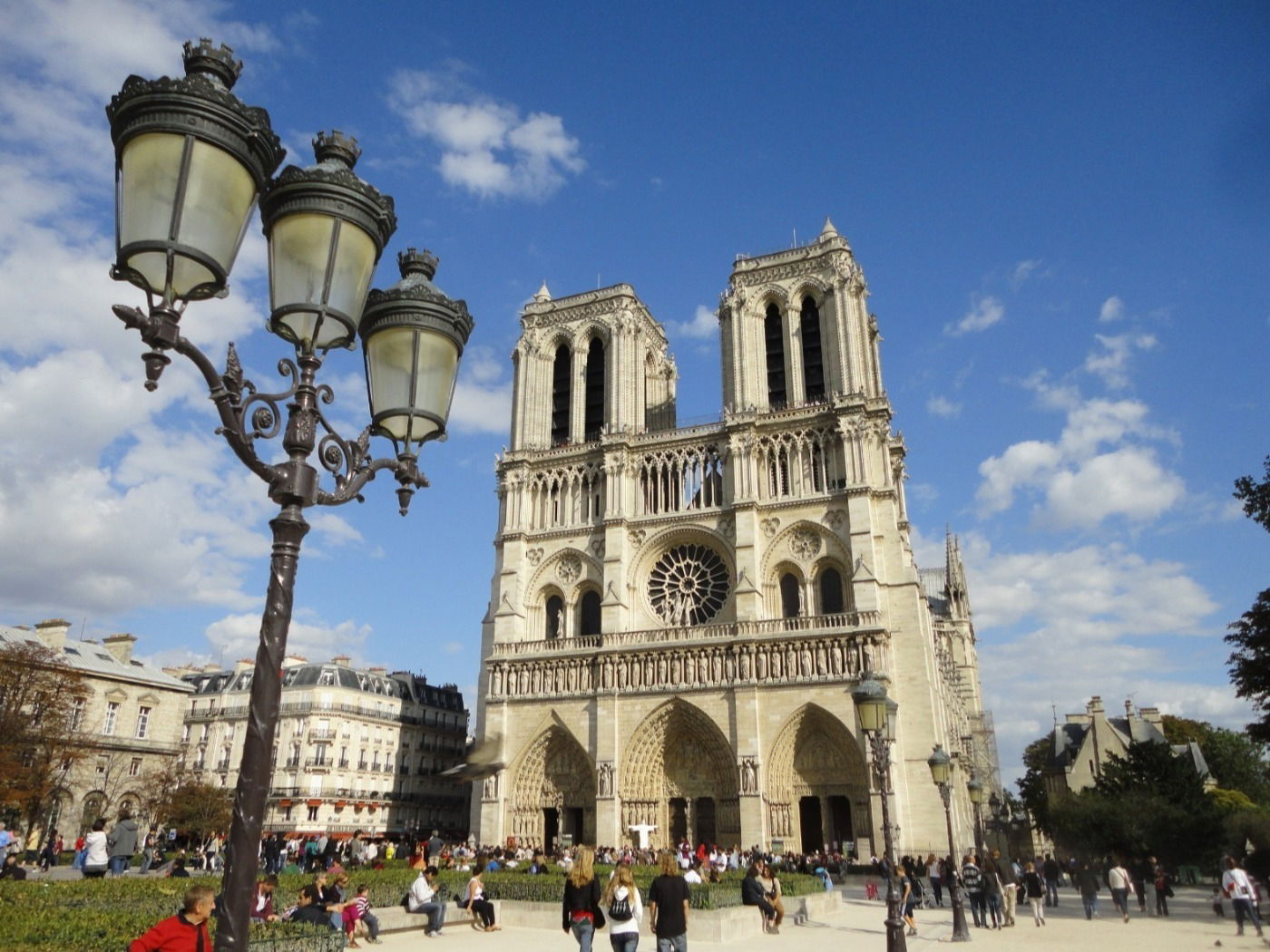 Catedral Notre Dame de París: historia, características y significado ...