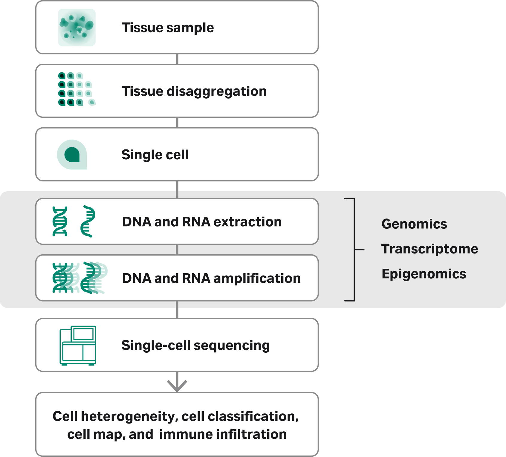 How To Change The Size Of A Single Cell In Google Sheets - Templates ...