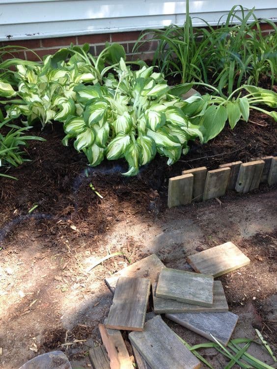 scrap wood being placed as garden edging