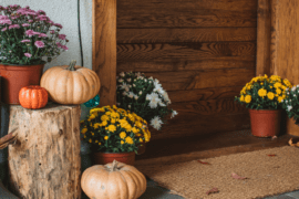 Top Plant Picks for a Fabulous Fall Front Door