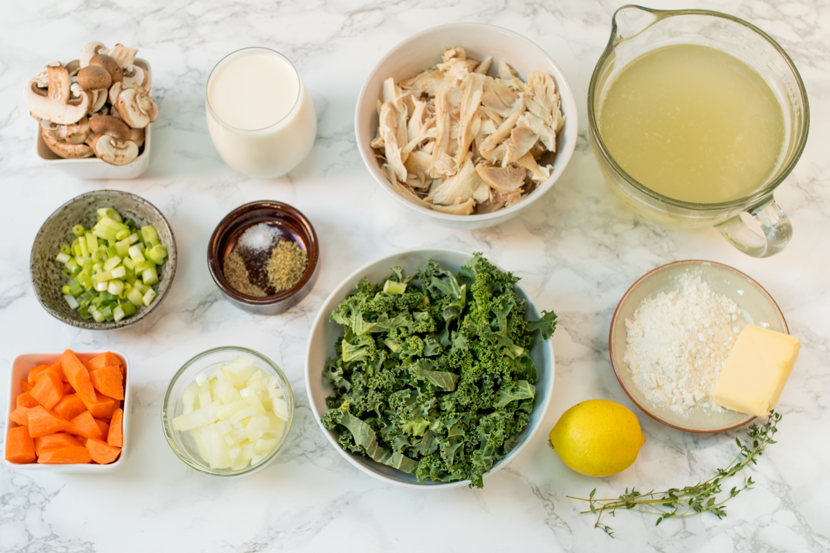 Creamy chicken and mushroom soup ingredients