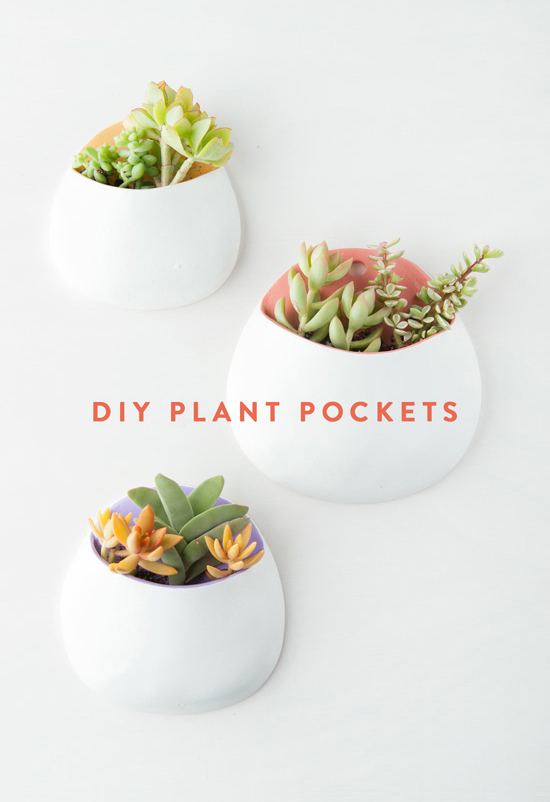 Diy clay plant wall pockets