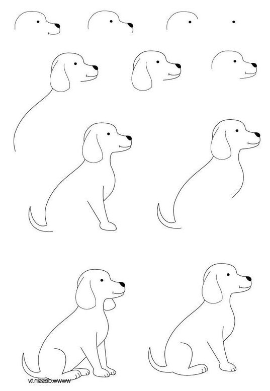 Easy Drawing Step By Step Face : How To Draw A Face Proportions Made ...