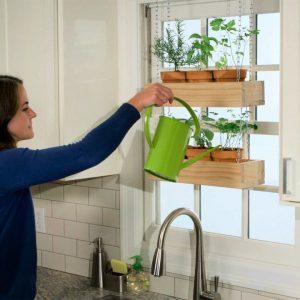 Indoor Hanging Herb Garden