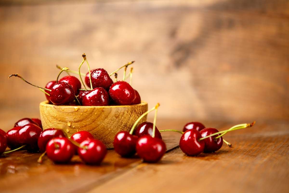 Can dogs eat cherries?