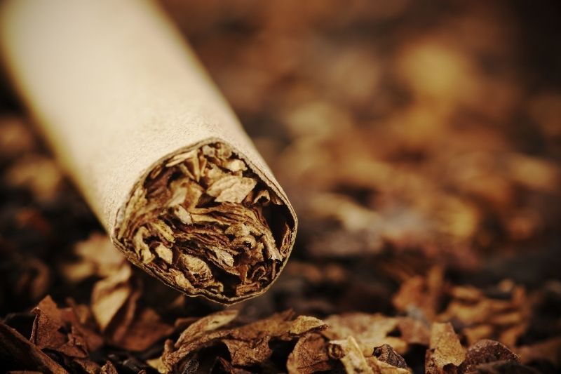 My dog ate tobacco: what are the risks and what should I do?