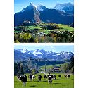 Gruyeres, Switzerland - Set of 2 Postcards