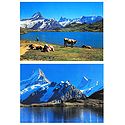 Bachalpsee Lake in Grindelwald, Switzerland - Set of 2 Postcards