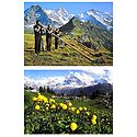 Playing Alphorn and Alpine Garden in Schynige Platte, Switzerland - Set of 2 Postcards