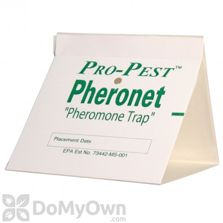 ProPest Pheronet Pantry Pest Trap