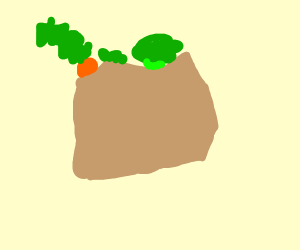 Vegetable bag