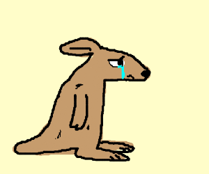 Joey (Young Kangaroo) is crying.