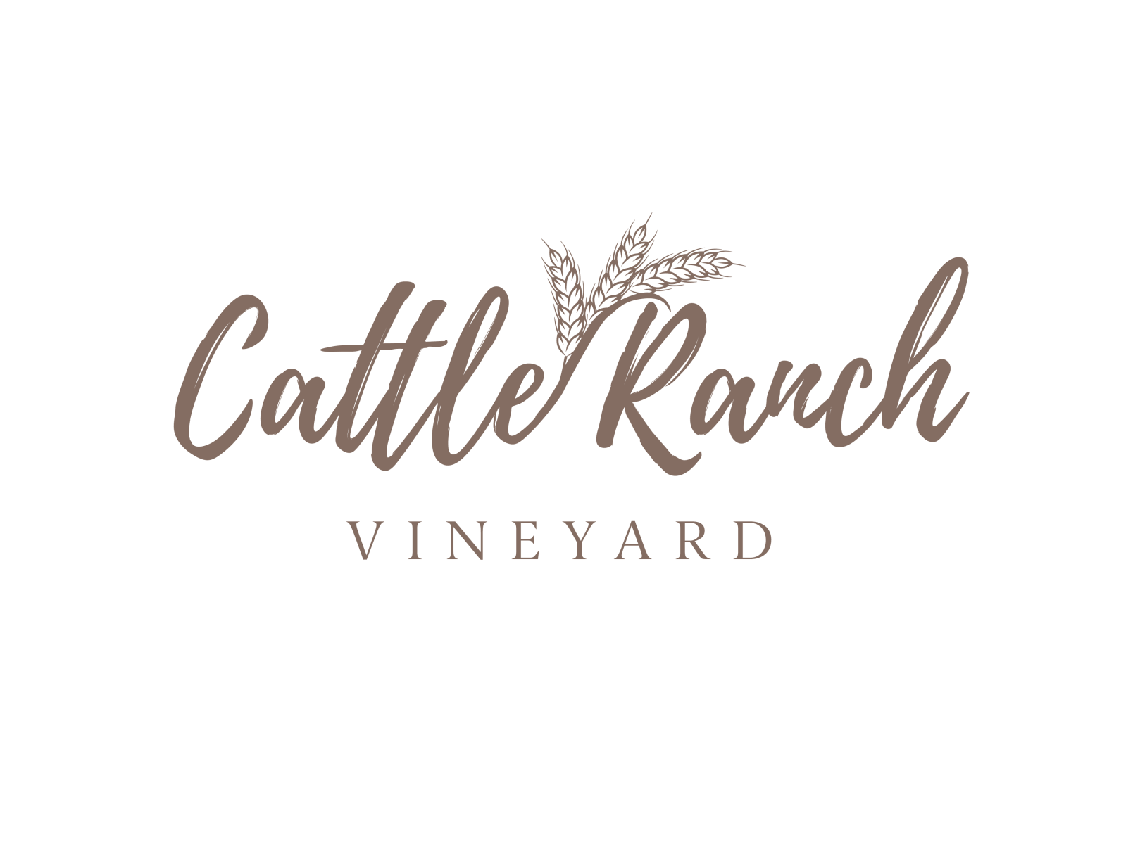 Cattle Ranch Vineyard Logo by Abby Fleet on Dribbble