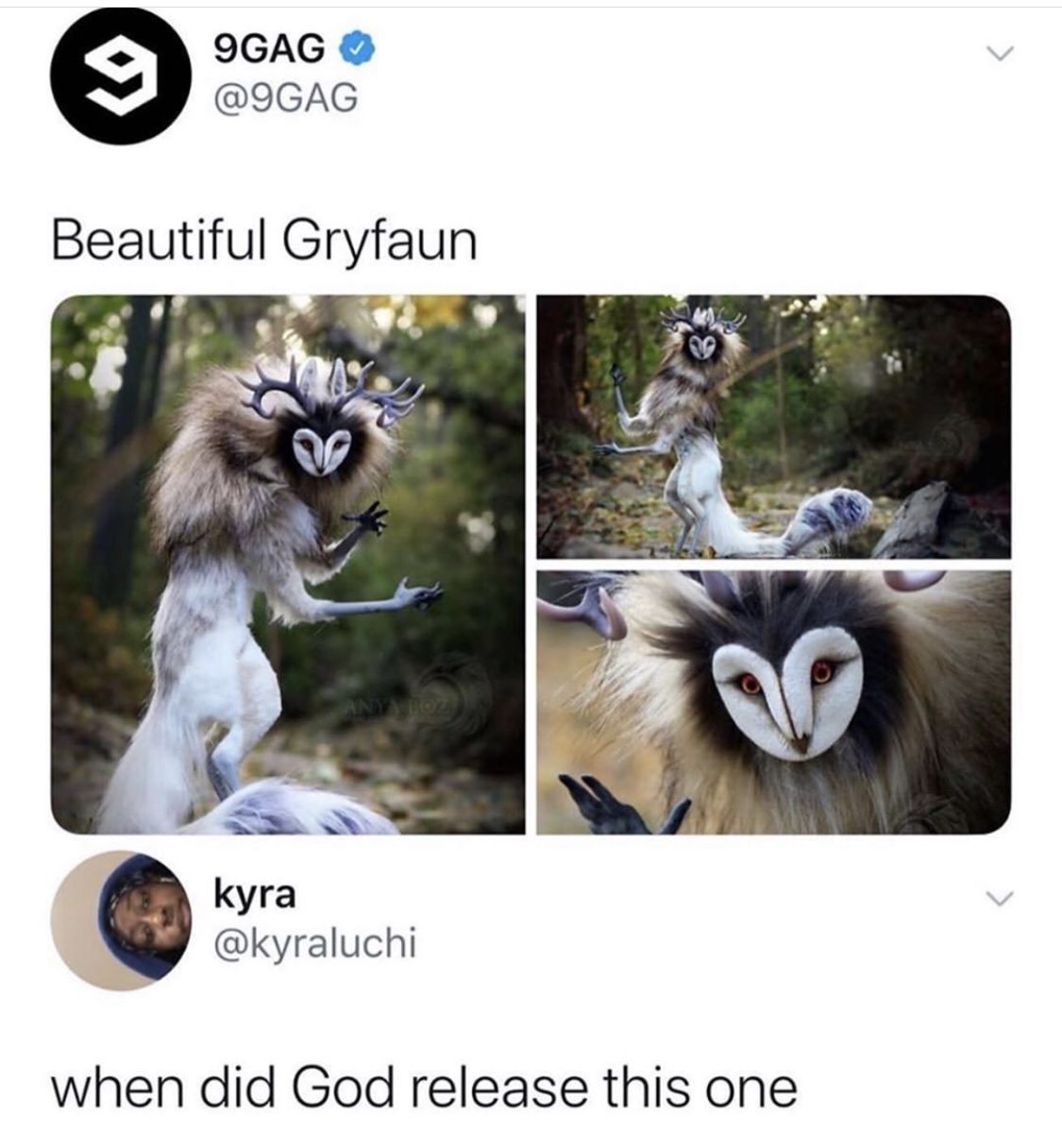 anya boz - 9GAG Beautiful Gryfaun Any 102 kyra when did God release this one