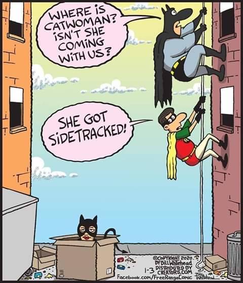 cartoon - Where Is Catwoman? Isn'T She Coming With Us? She Got Sidetracked! Copyright By Dill Whitehead a Creators.Com Sa Facebook.comFreeRangeComic Witte