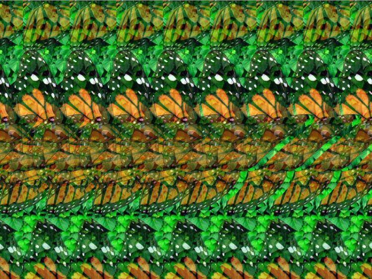 3D Stereograms