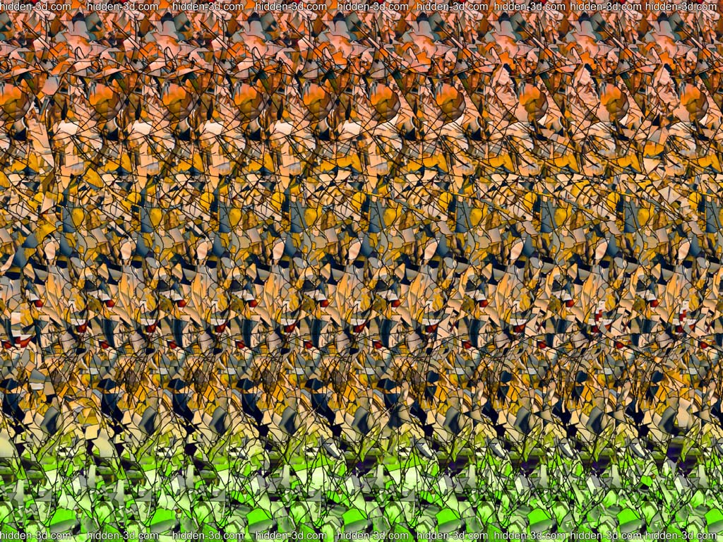 3D Stereograms