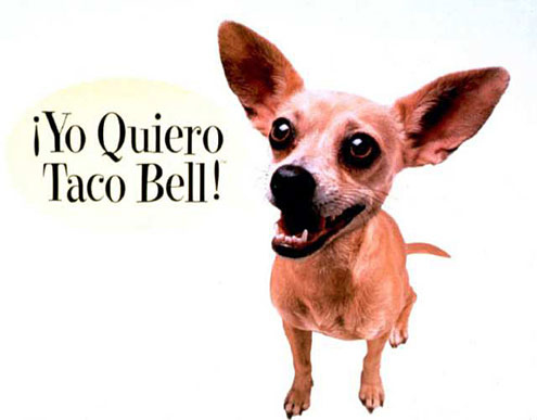 The Taco Bell Chihuahuas name was Gidget