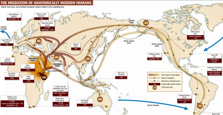 migration of anatomically modern humans - The Migration Of Anatomically Modern Humans Evidence from lossi, ancient artefacts and genetk analyses combine to tell a compeling story Oued jabbana Algeria Shell beads 35k Pestera cu Oase Romania Skhul and outch