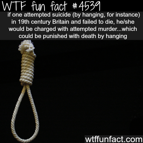 crazy weird facts - 'Wtf fun fact if one attempted suicide by hanging, for instance in 19th century Britain and failed to die, heshe would be charged with attempted murder...which could be punished with death by hanging wtffunfact.com