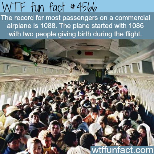 ethiopian jews plane - Wtf fun fact The record for most passengers on a commercial airplane is 1088. The plane started with 1086 with two people giving birth during the flight. wtffunfact.com