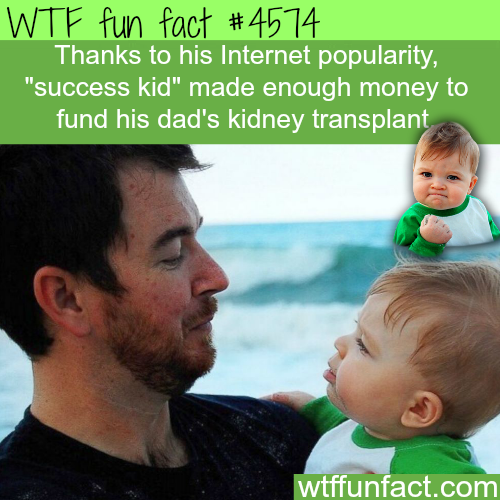 success kid - Wtf fun fact Thanks to his Internet popularity, "success kid" made enough money to fund his dad's kidney transplant wtffunfact.com