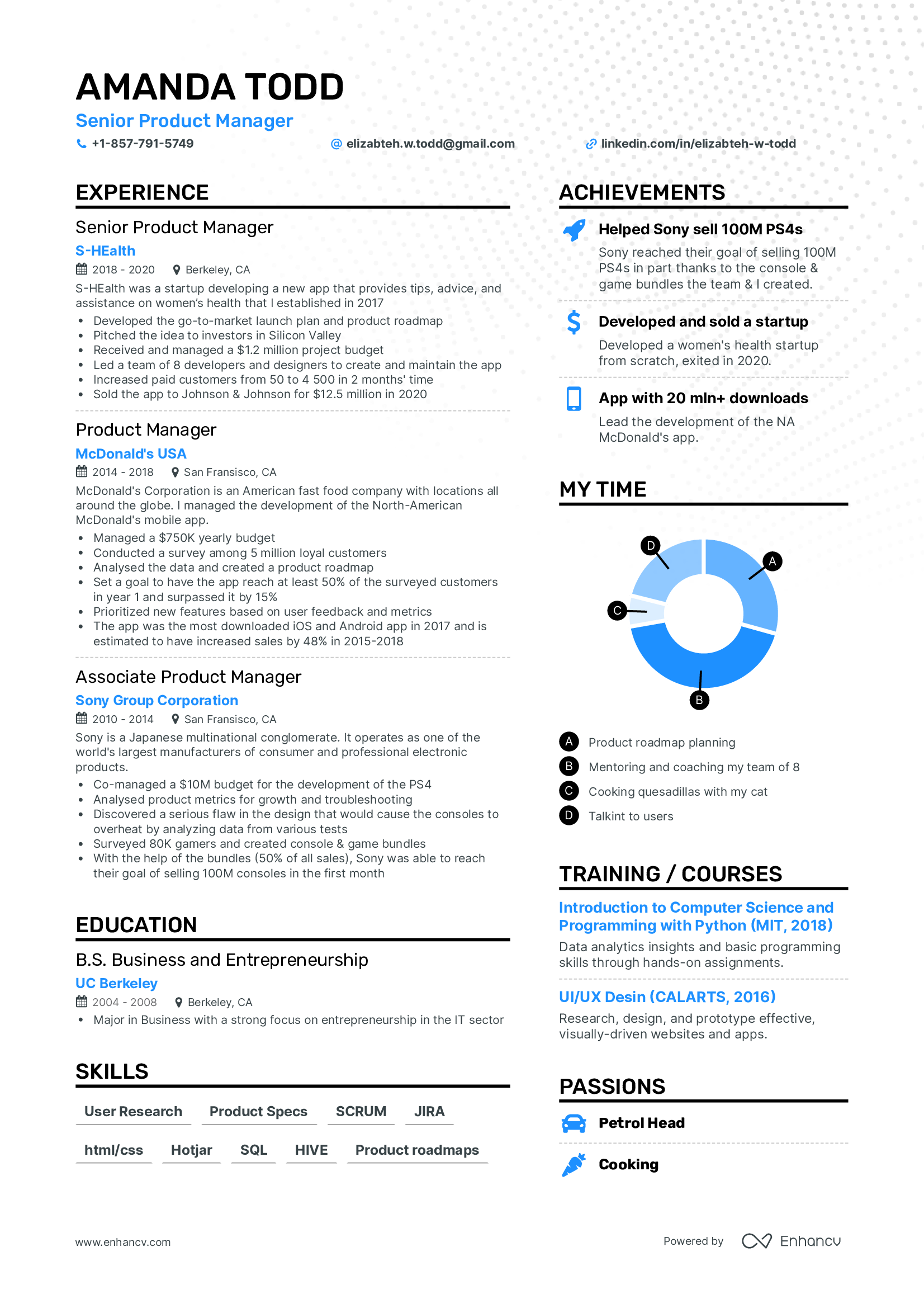 Free resume template for experienced professional - tastebutton