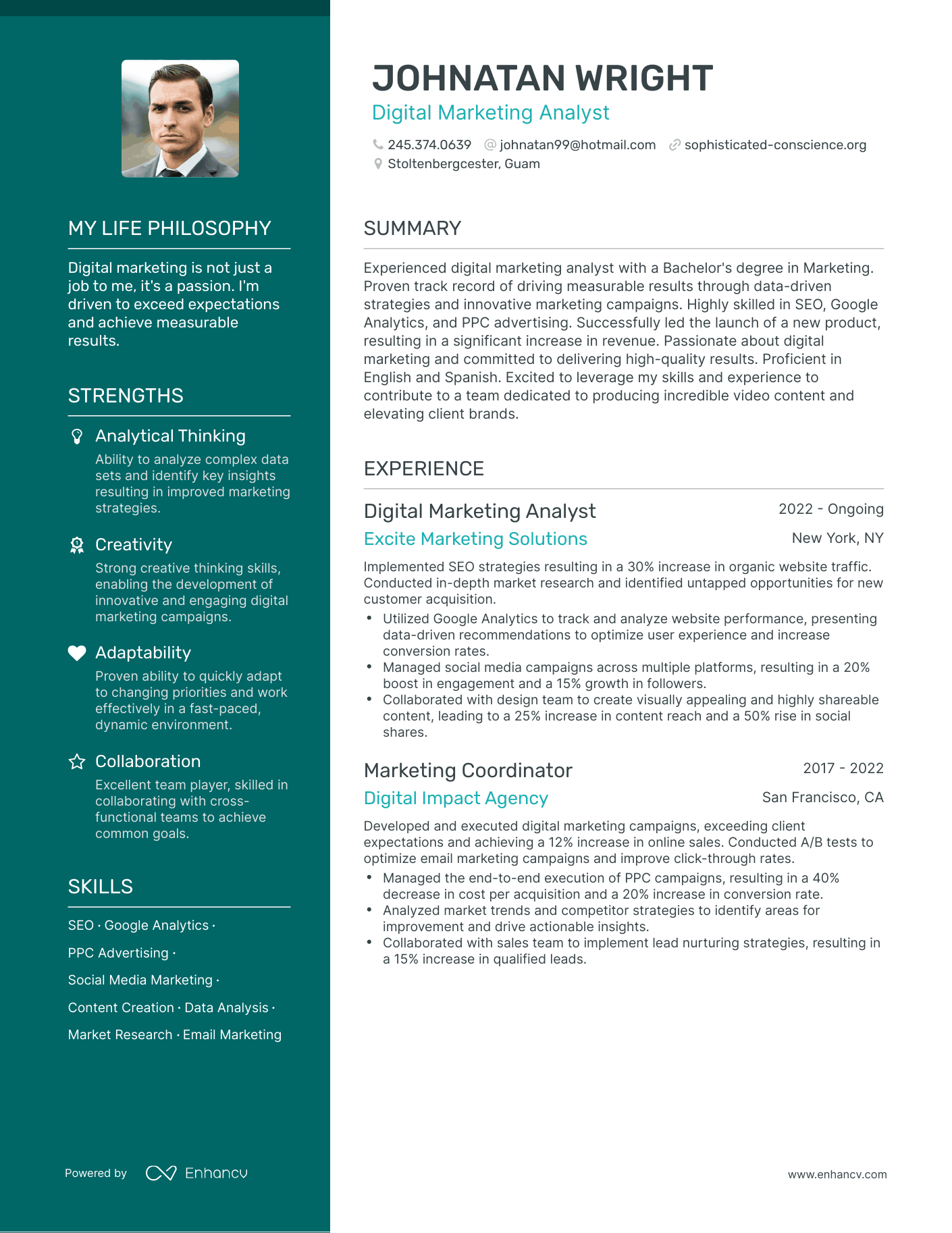 Digital Marketing Analyst resume example