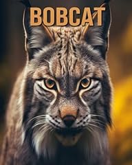 Bobcat learn bobcat for sale  Delivered anywhere in UK