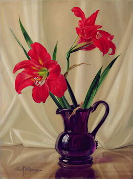 Αναπαραγωγή Amaryllis Lillies