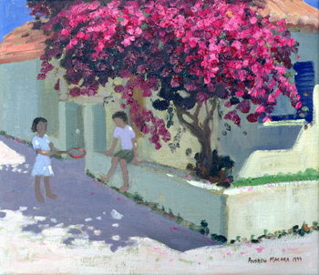 Художній друк Bougainvillaea, Zante, 1999