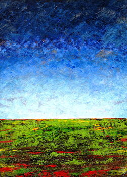 Художній друк Horizon I, 2001