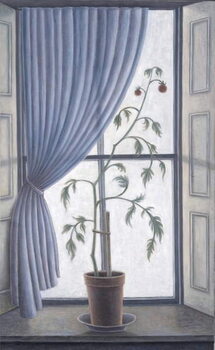 Художній друк Plant in Window, 2003