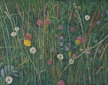 Художній друк Plants of the Machair, 2008