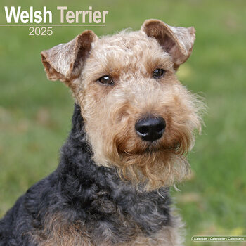 Ημερολόγιο 2025 Welsh Terrier