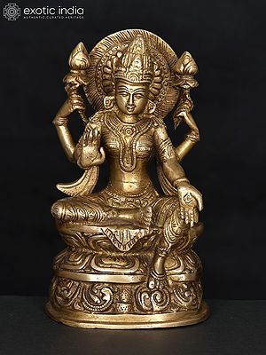 Divine Sculptures of Hindu Goddesses