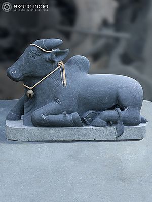 34" Large Calm Nandi in Seated Posture | Black Granite Stone Sculpture