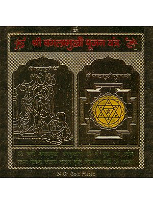 Shri Bagalamukhi Pujan Yantra