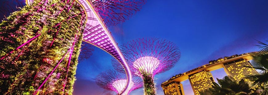 25 Signs You’ve Adapted to Being an Expat in Singapore