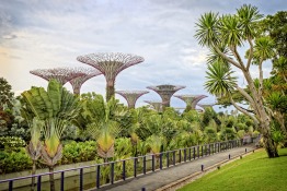 Gardens By The Bay Singapore