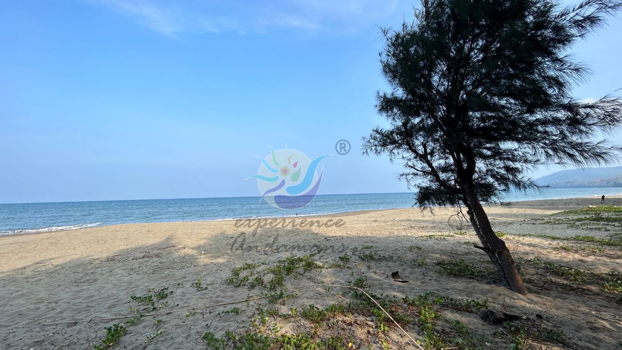 beach at Dhanninalah