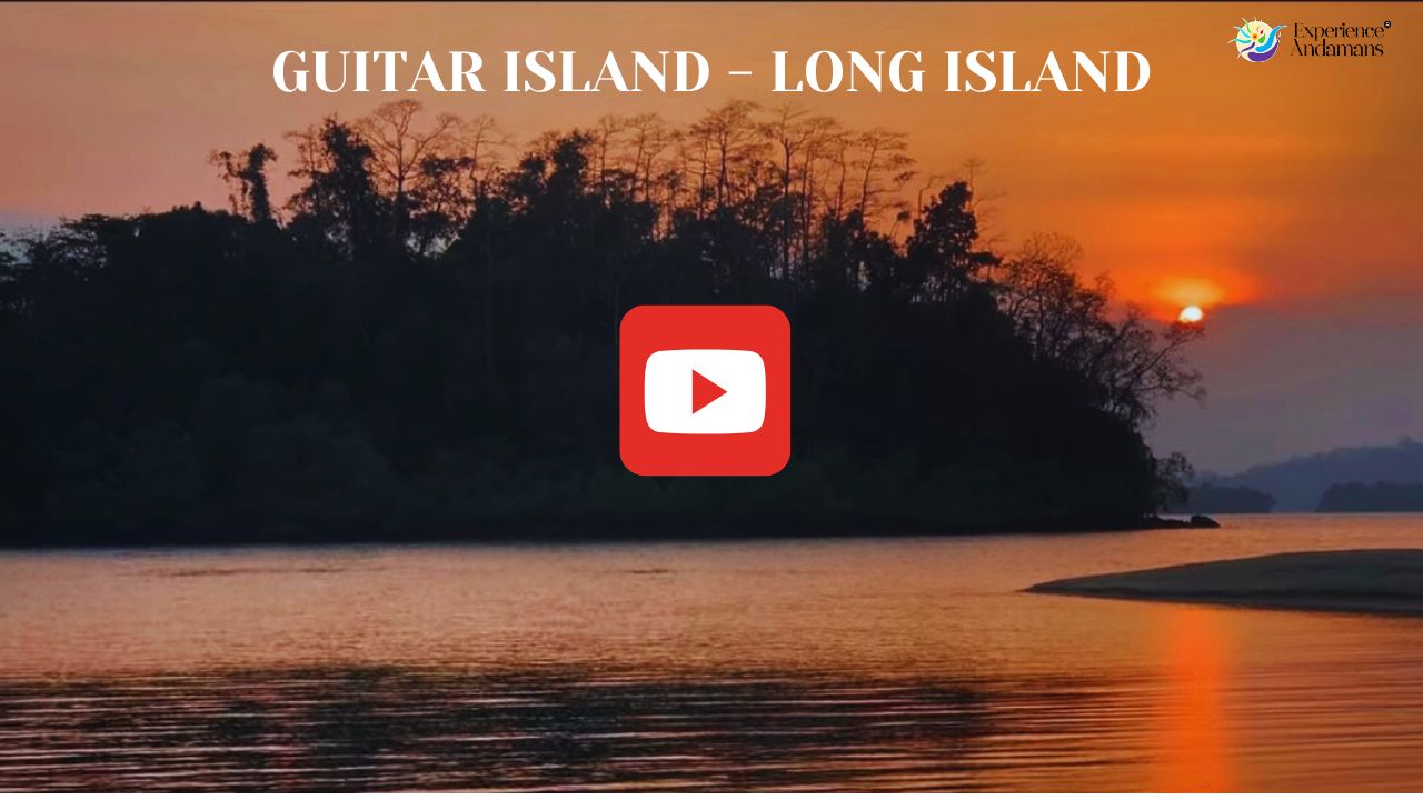 Guitar Island