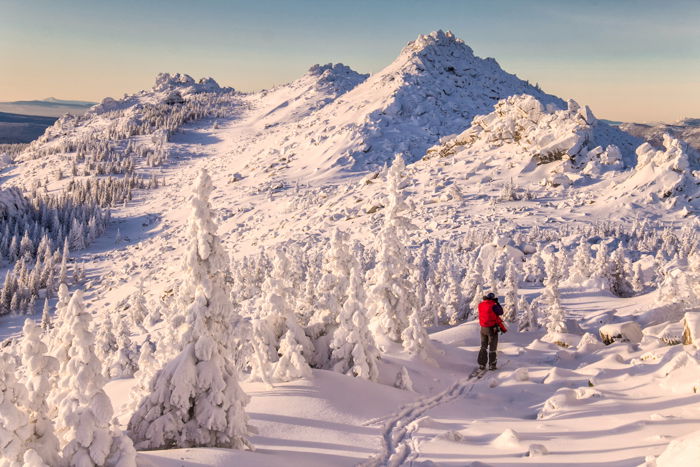 Snowy winter landscape