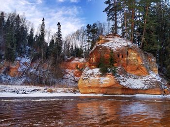 River in forest during winter