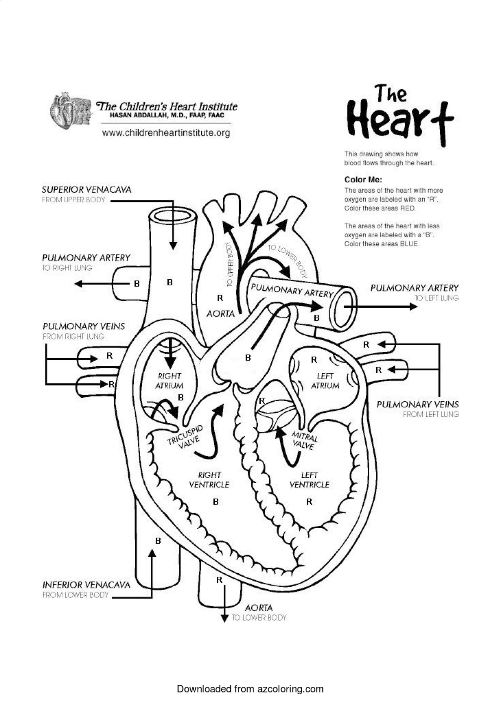 24 Fun Heart Coloring Activities The Kids Will Love - Teaching Expertise