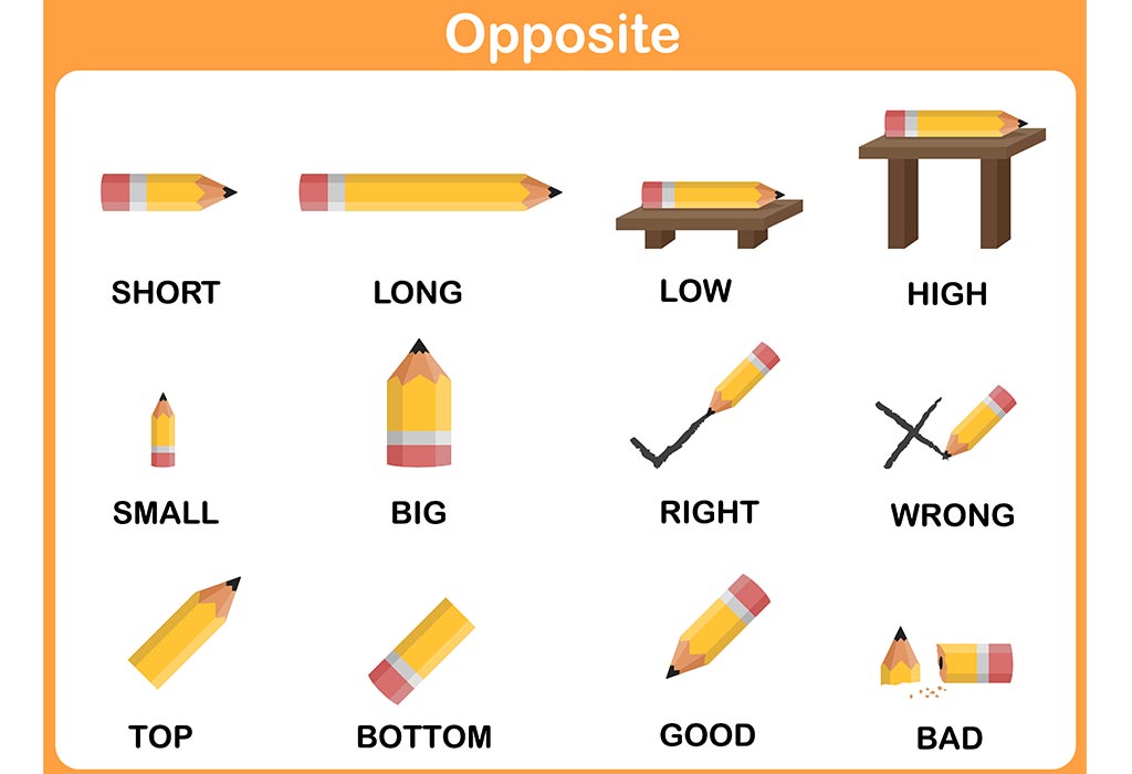 Opposite Words In English For Class 3 With Pictures - Printable Templates