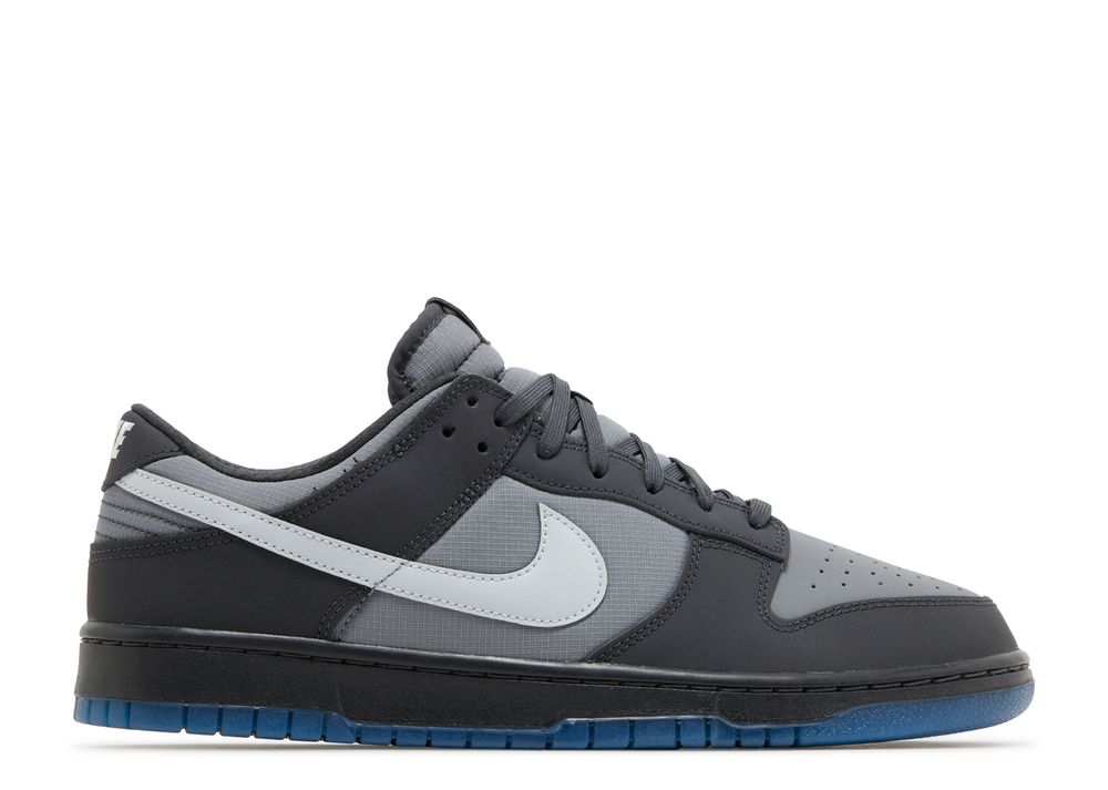 Dunk Low 'Anthracite' - Nike - FV0384 001 - anthracite/pure platinum ...