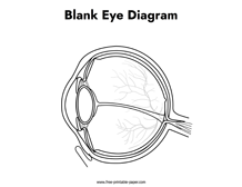 Blank Eye Diagram