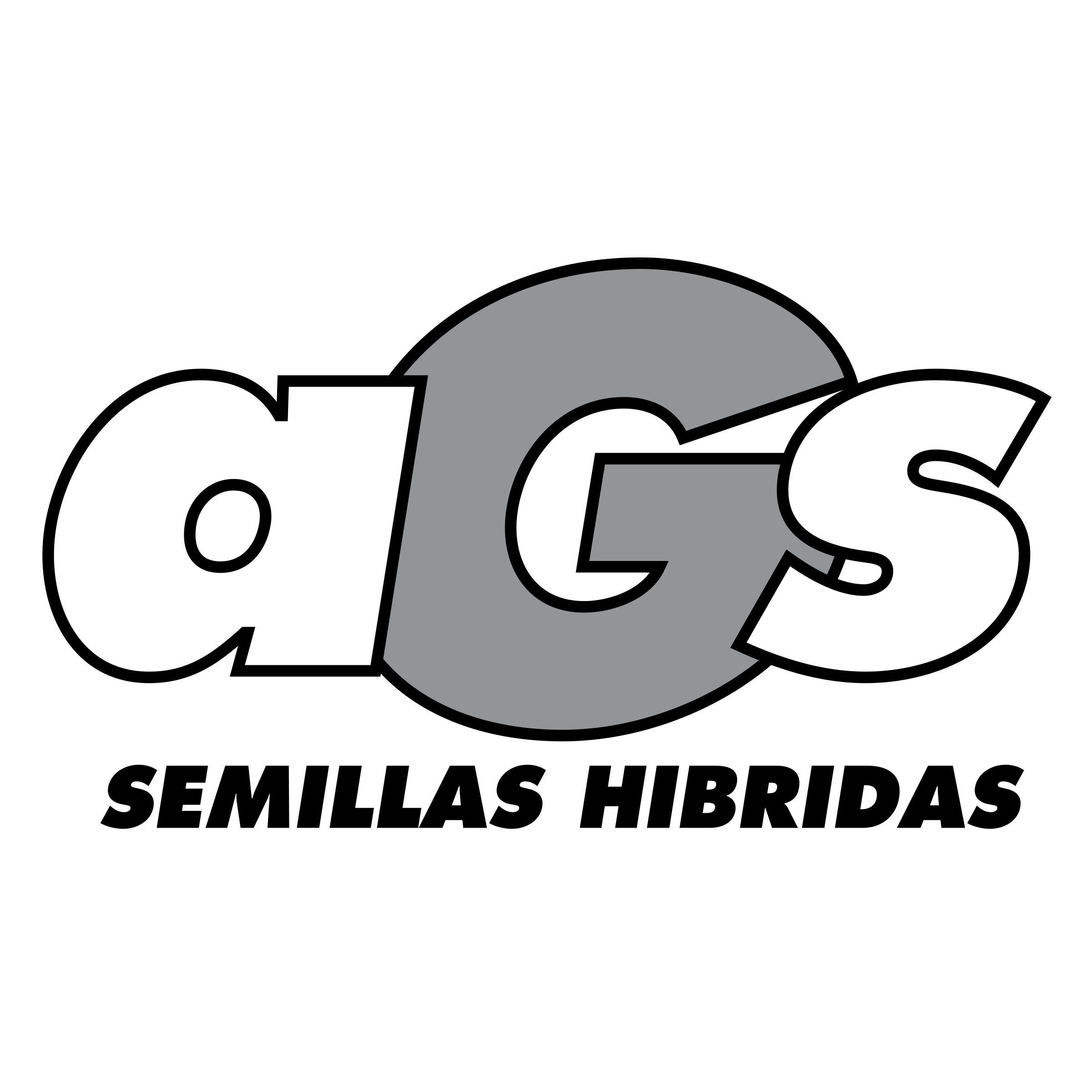 AGS Logo png transparent