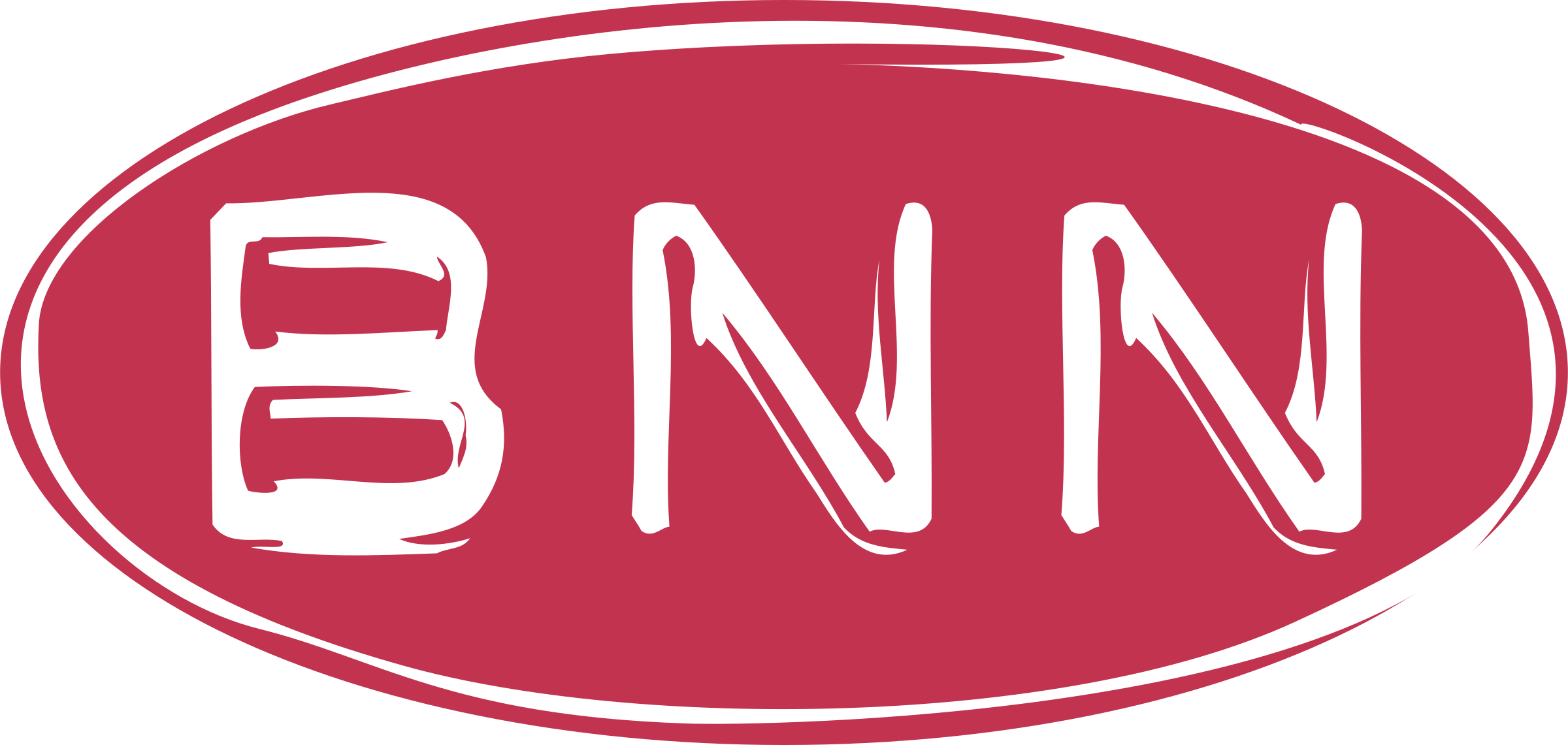 BNN Logo png transparent